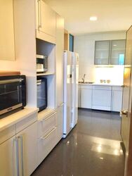 Cairnhill Crest (D9), Condominium #574920781